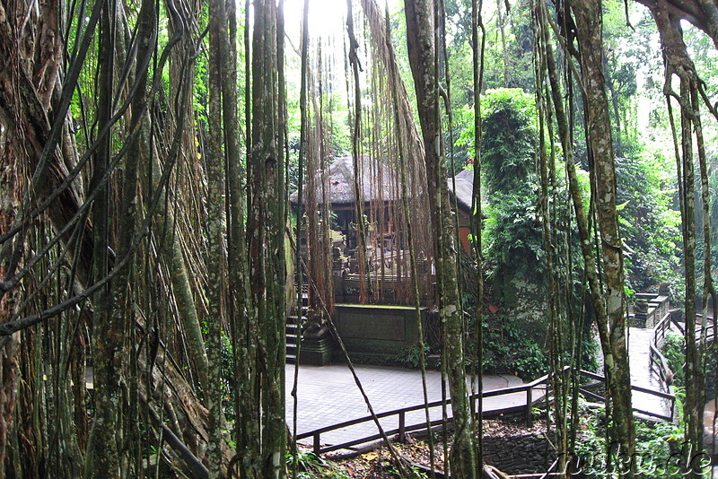 Sacred Monkey Forest Sanctuary, Ubud, Bali, Indonesien