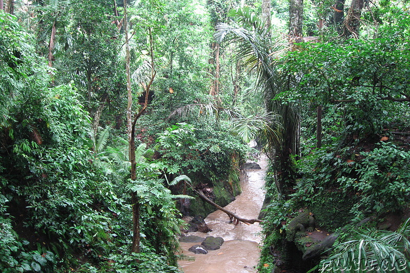 Sacred Monkey Forest Sanctuary, Ubud, Bali, Indonesien