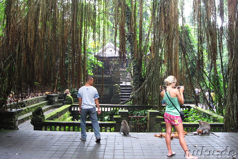 Sacred Monkey Forest Sanctuary, Ubud, Bali, Indonesien