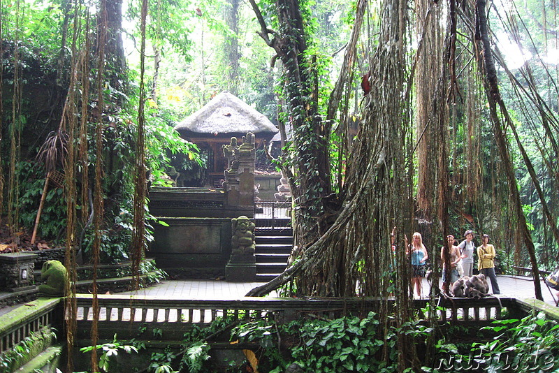 Sacred Monkey Forest Sanctuary, Ubud, Bali, Indonesien