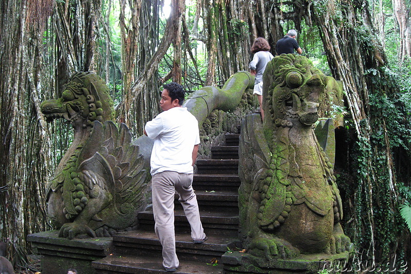 Sacred Monkey Forest Sanctuary, Ubud, Bali, Indonesien