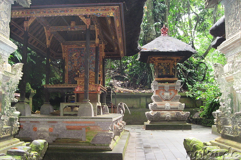 Sacred Monkey Forest Sanctuary, Ubud, Bali, Indonesien