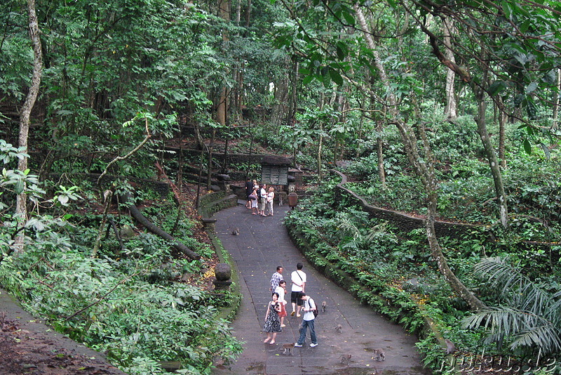 Sacred Monkey Forest Sanctuary, Ubud, Bali, Indonesien