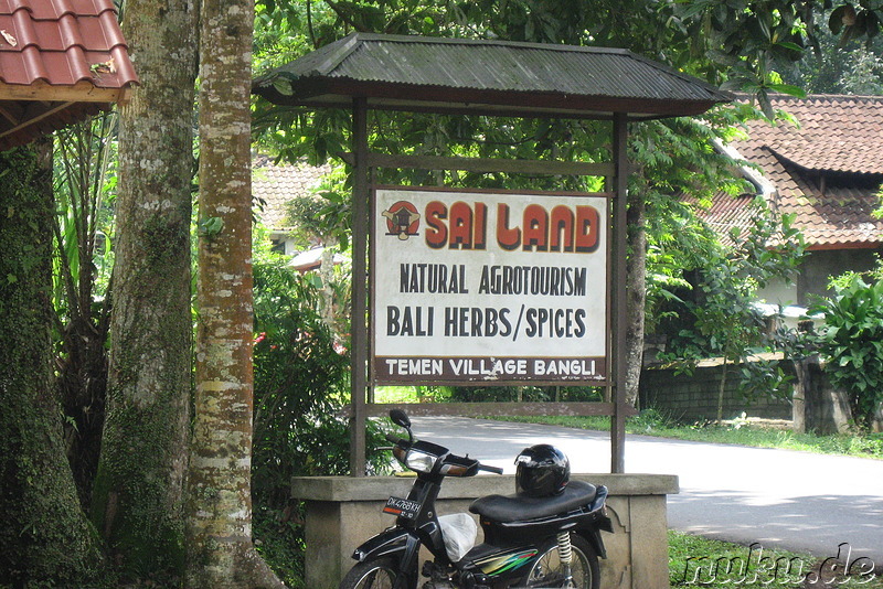 Sai Land Coffee & Cacao Plantation in Bangli, Bali, Indonesien