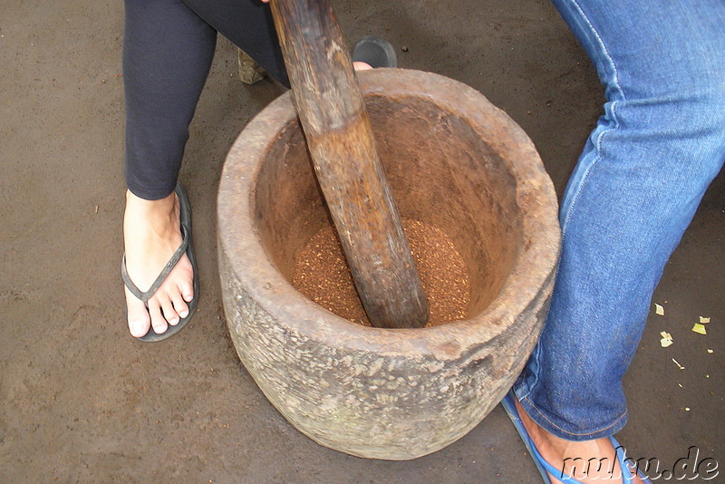 Sai Land Coffee & Cacao Plantation in Bangli, Bali, Indonesien