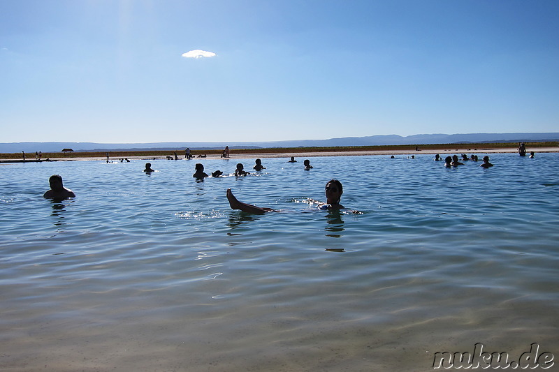 Salt Laguna Cejar in der Atacamawüste, Chile