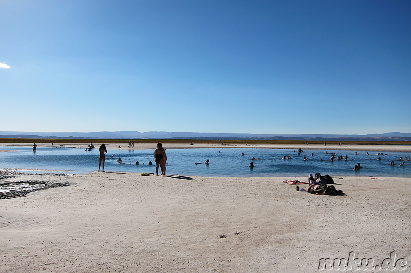 Salt Laguna Cejar in der Atacamawüste, Chile