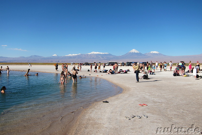 Salt Laguna Cejar in der Atacamawüste, Chile