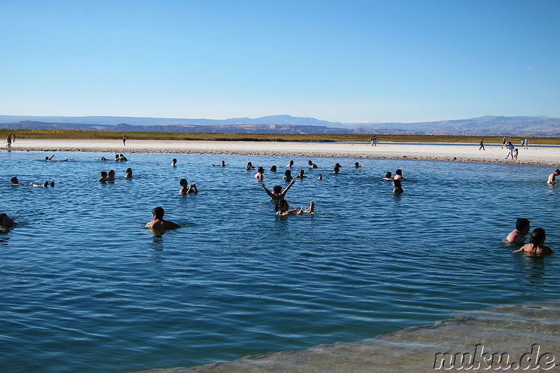 Salt Laguna Cejar in der Atacamawüste, Chile