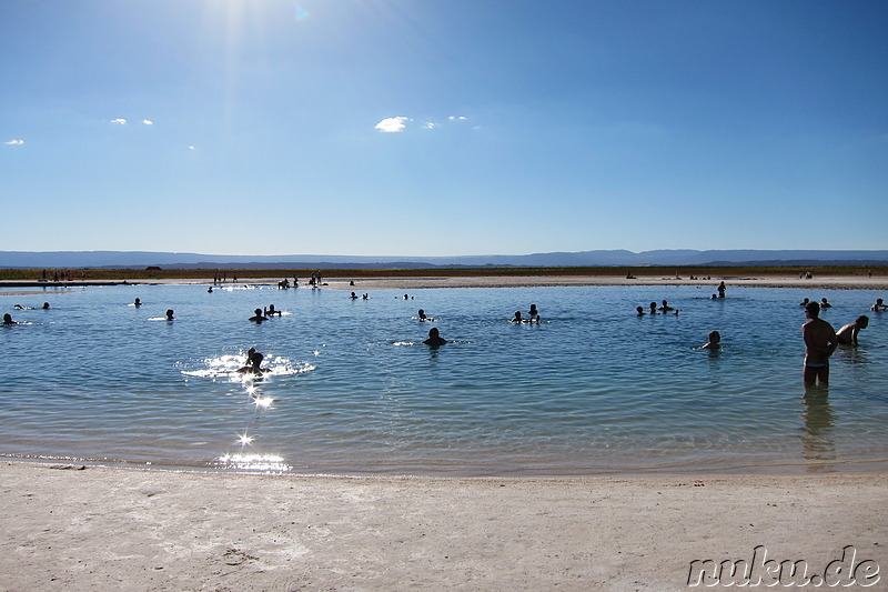 Salt Laguna Cejar in der Atacamawüste, Chile