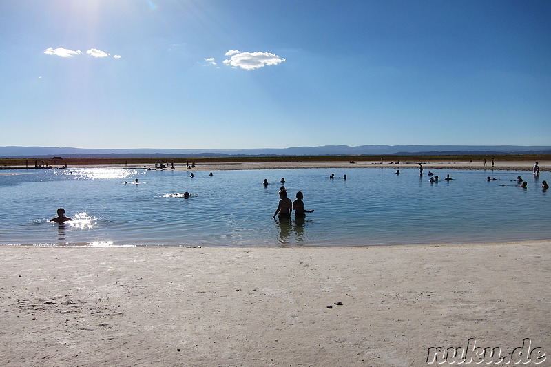 Salt Laguna Cejar in der Atacamawüste, Chile