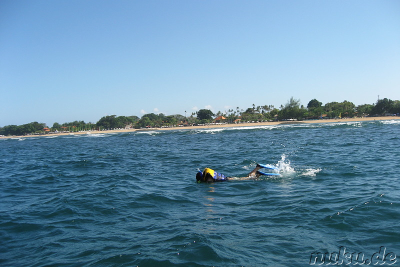 Schnorcheln in Sanur, Bali, Indonesien