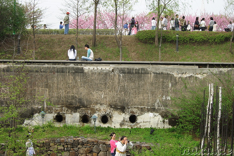 Seonyudo