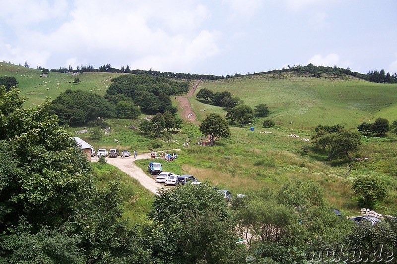 Sheep Farm, Hoenggye