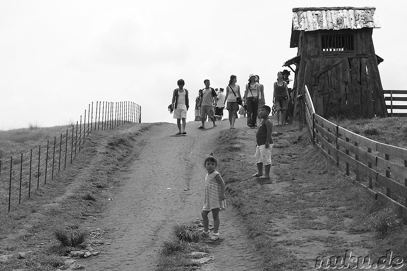 Sheep Farm, Hoenggye