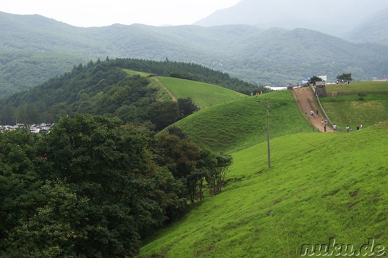 Sheep Farm, Hoenggye