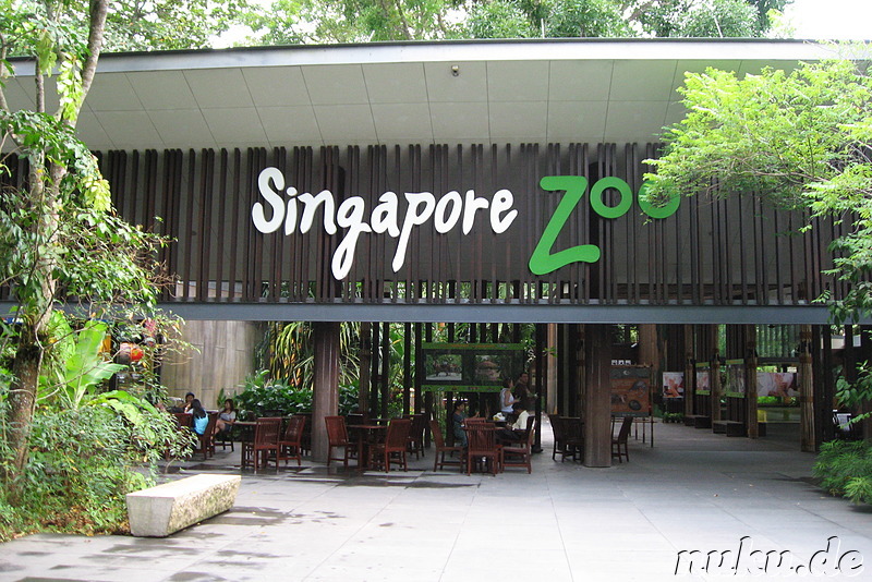 Singapore Zoo, Singapur