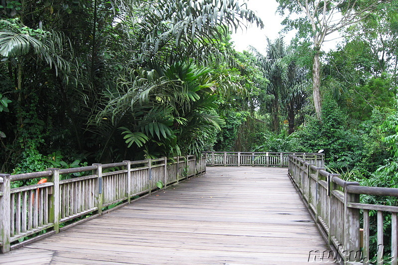 Singapore Zoo, Singapur