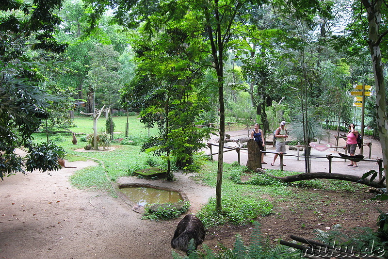 Singapore Zoo, Singapur