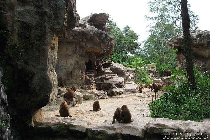 Singapore Zoo, Singapur