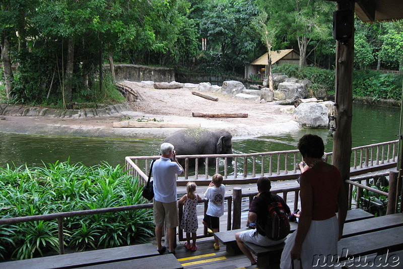 Singapore Zoo, Singapur