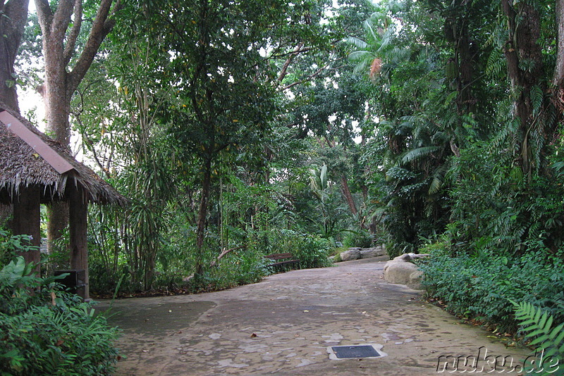 Singapore Zoo, Singapur