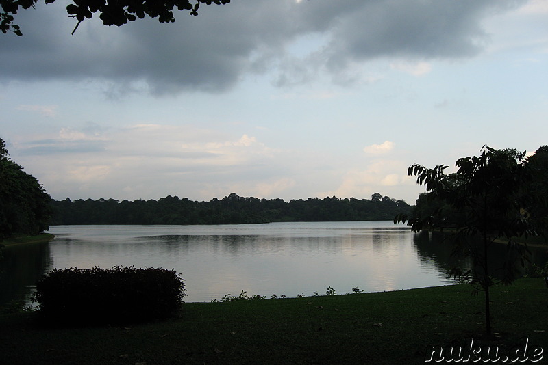 Singapore Zoo, Singapur