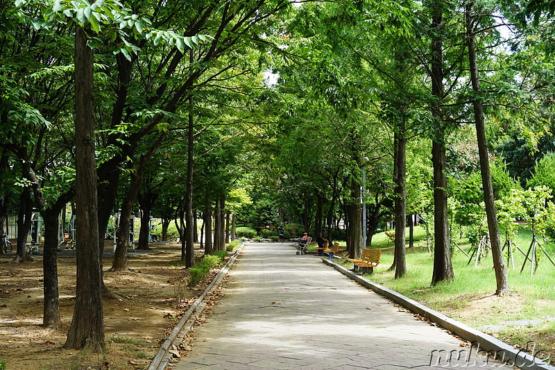 Sinteuri Park in Bupyeong, Incheon, Korea