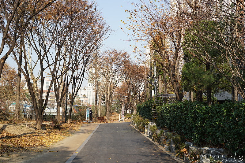 Spaziergang entlang den kleinen Bächen Galsancheon und Cheongcheoncheon in Bupyeong, Incheon, Korea