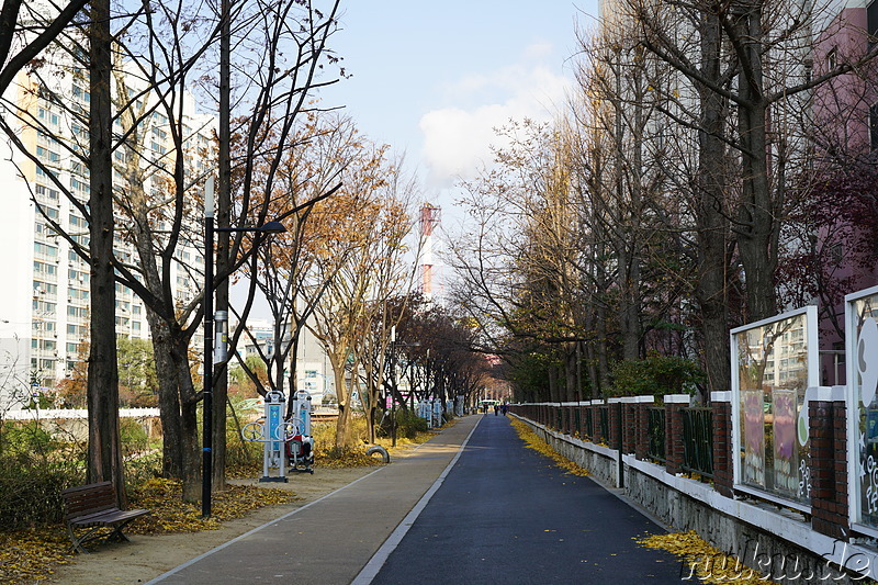 Spaziergang entlang den kleinen Bächen Galsancheon und Cheongcheoncheon in Bupyeong, Incheon, Korea