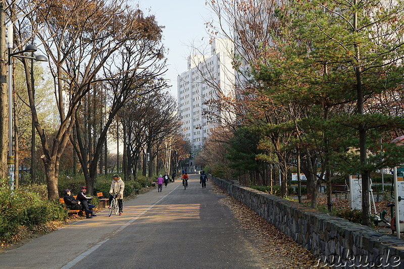 Spaziergang entlang den kleinen Bächen Galsancheon und Cheongcheoncheon in Bupyeong, Incheon, Korea