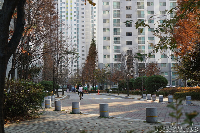 Spaziergang entlang den kleinen Bächen Galsancheon und Cheongcheoncheon in Bupyeong, Incheon, Korea