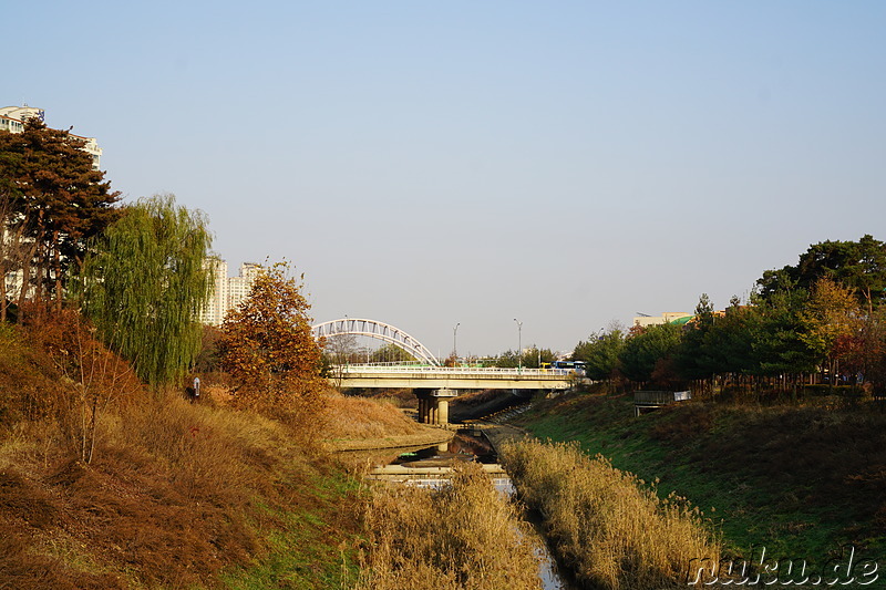 Spaziergang entlang den kleinen Bächen Galsancheon (갈산천) und Cheongcheoncheon (청천천) in Bupyeong, Incheon, Korea