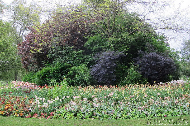 St James Park in London, England