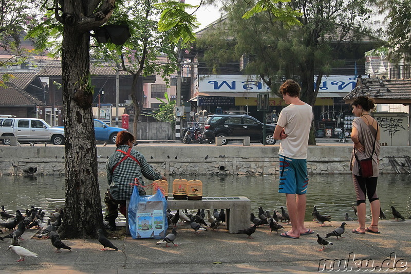 Stadtmgraben als Teil der Stadtbefestigung von Chiang Mai, Thailand