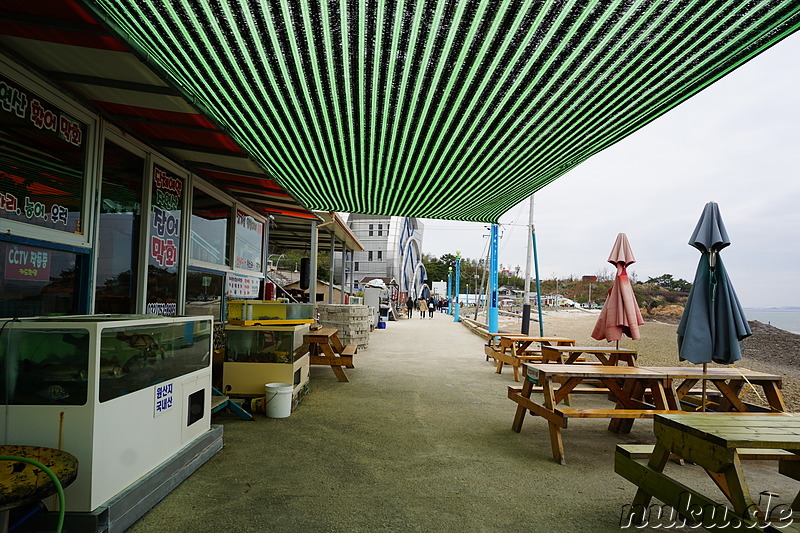 Strand an der Ostküste der Insel Somuuido, Korea