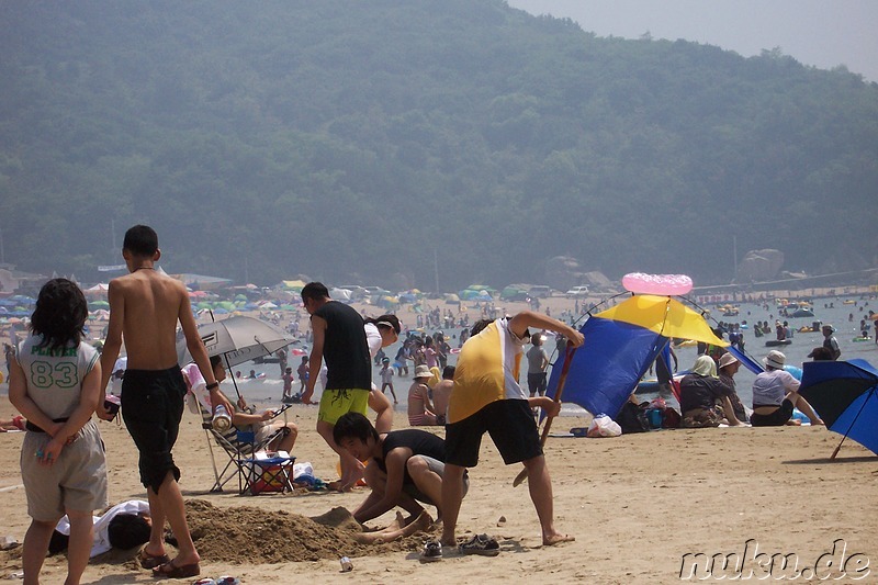 Strandfoto Eulwangni Beach