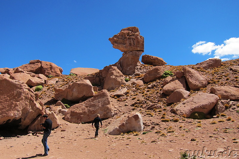 T-Rex-Rock, Bolivien