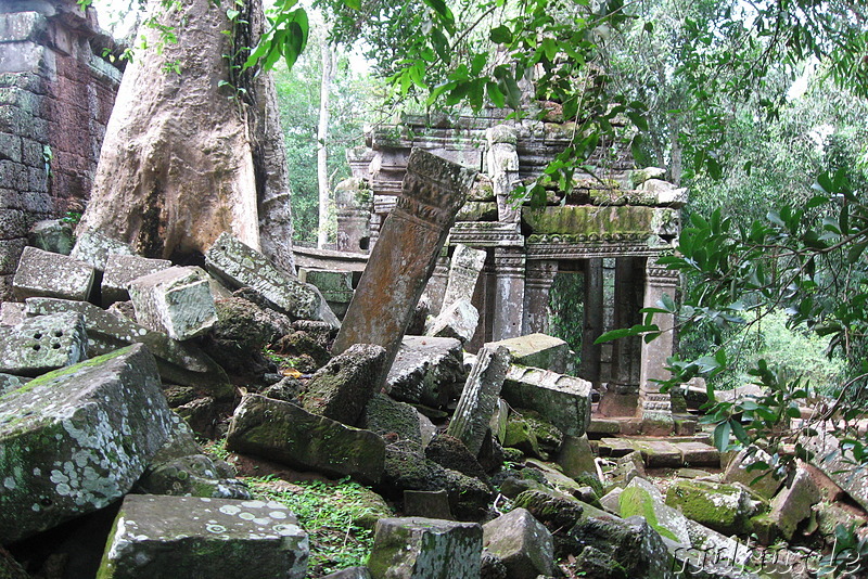 Ta Prohm Tempel in Angkor, Kambodscha