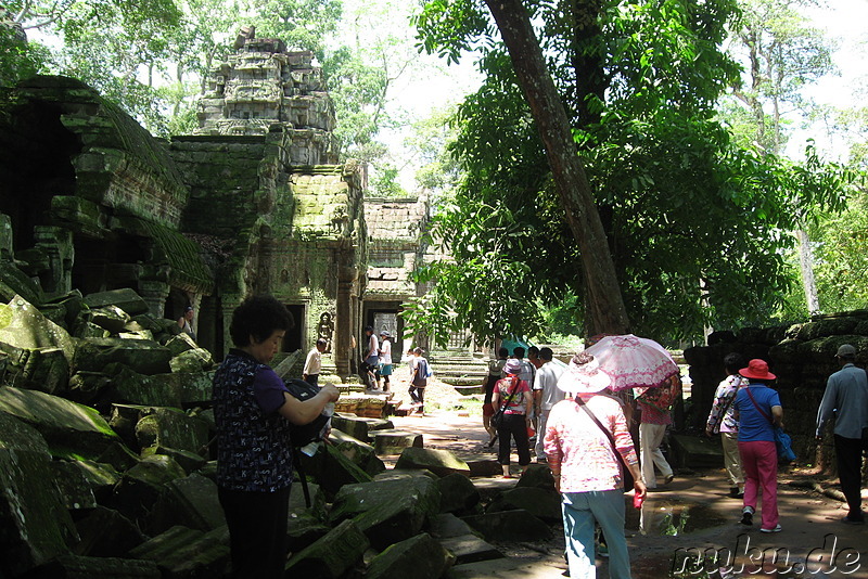 Ta Prohm Tempel in Angkor, Kambodscha