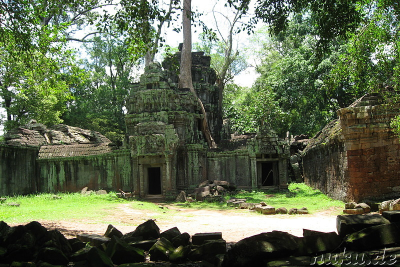 Ta Prohm Tempel in Angkor, Kambodscha