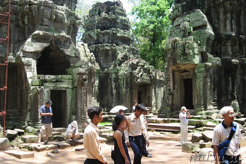 Ta Prohm Tempel in Angkor, Kambodscha