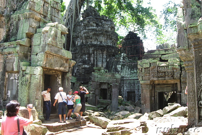 Ta Prohm Tempel in Angkor, Kambodscha