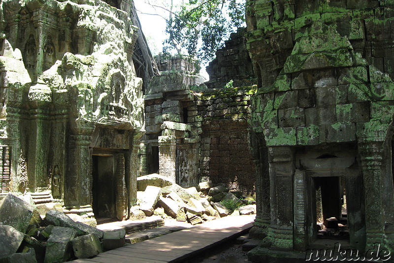 Ta Prohm Tempel in Angkor, Kambodscha