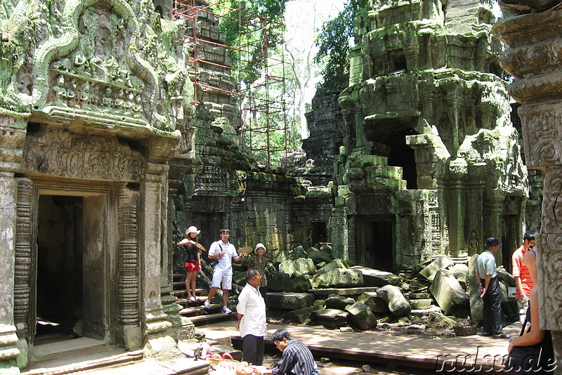 Ta Prohm Tempel in Angkor, Kambodscha