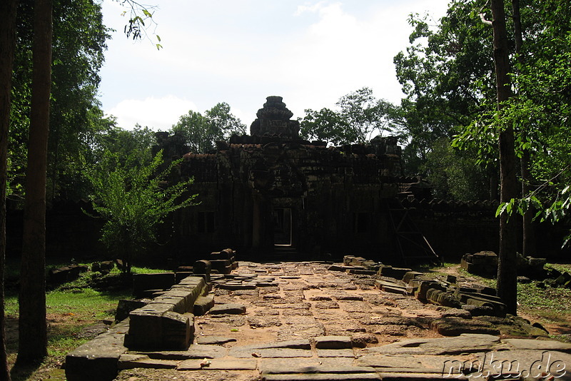 Ta Som Tempel in Angkor, Kambodscha