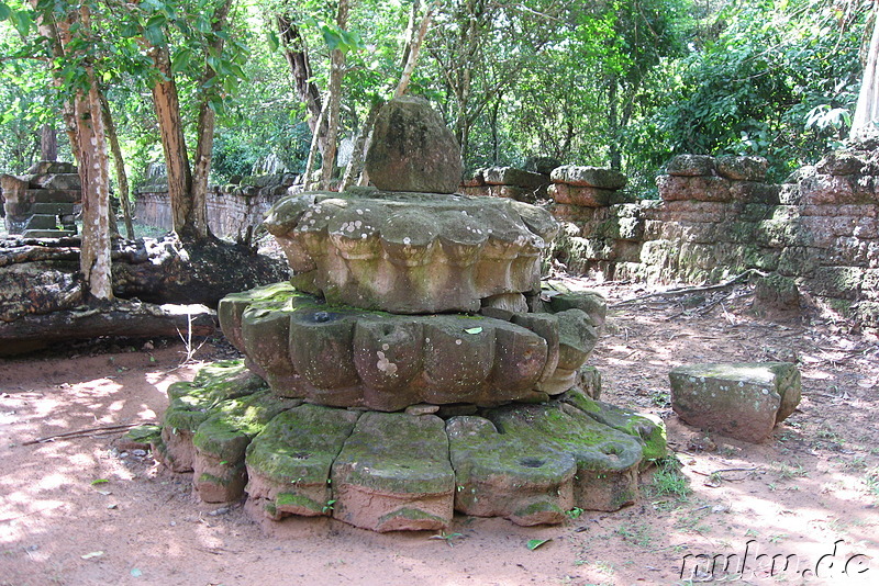 Ta Som Tempel in Angkor, Kambodscha