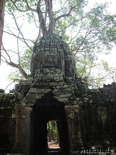 Ta Som Tempel in Angkor, Kambodscha