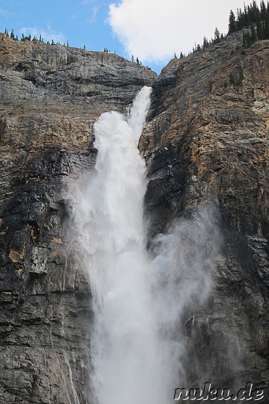 Takakkaw Falls - Wasserfall im Yoho National Park, Kanada