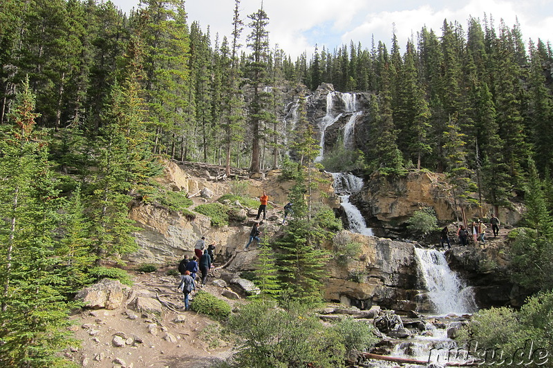 Tangle Creek Falls - Wasserfall im Jasper National Park, Kanada